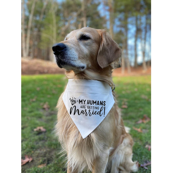 Bandana para perro